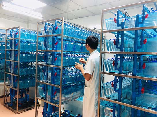 首页 - JDB电子官方网站